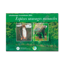 Luxembourg 2021 Coin and stamp 